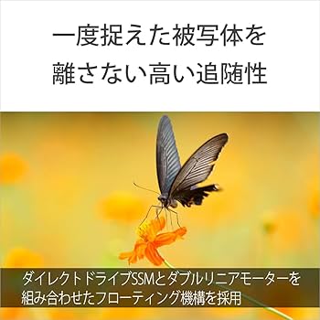 Amazon.co.jp: SONY(ソニー) 望遠ズームレンズ フルサイズ FE
